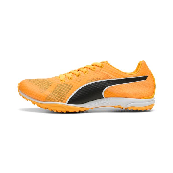 PUMA Puma evo SPEED Haraka 8 Unisex Spikeless Running Shoes, Orange, Size 47, Shoes