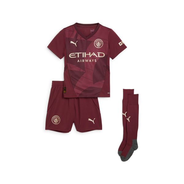 PUMA Puma Manchester City 24/25 Third Minikit Kids, Red, Size 3-4Y, Clothing