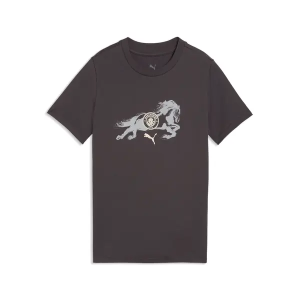 PUMA PUMA Manchester City x Year of the Horse Tee Youth, Football, Flat Dark Gray/Gray Echo, 15-16Y