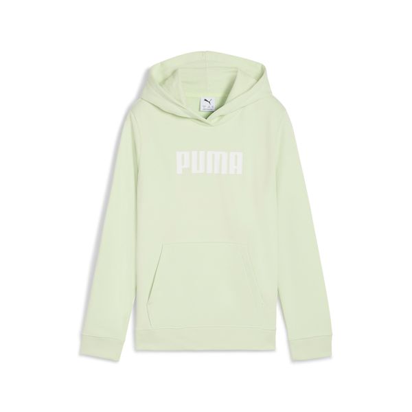 PUMA Women's Puma Essentials Logo Hoodie Youth, Green, Size 15-16Y, Clothing