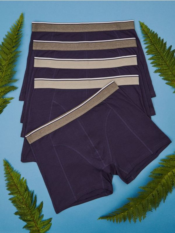 Sinsay Sinsay - Boksarice - večbarvna