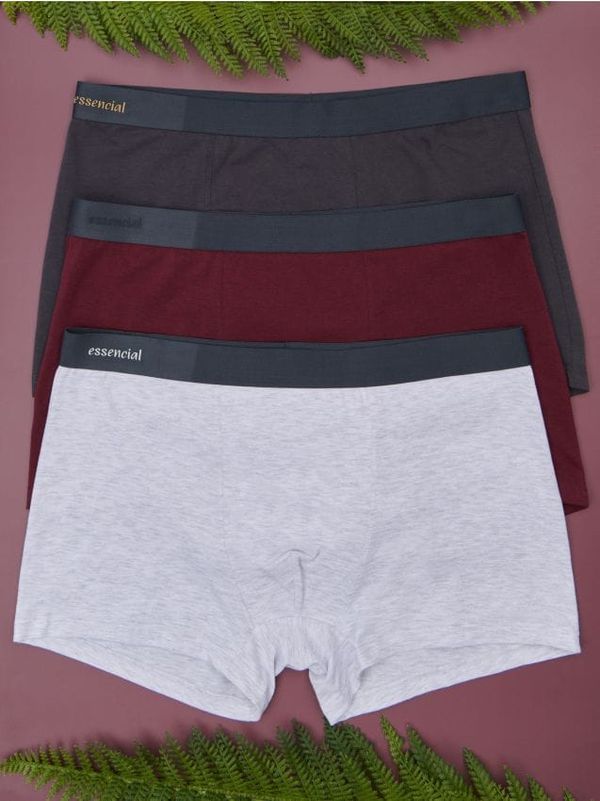 Sinsay Sinsay - Boksarice - večbarvna