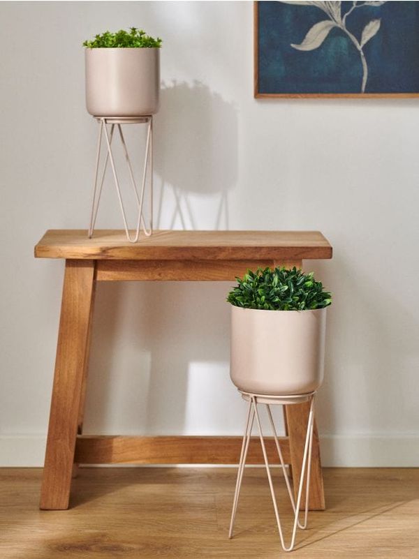 Sinsay Sinsay - Cvečni lonec - bež