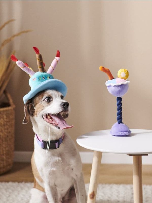 Sinsay Sinsay - Dodatki za hišnega ljubljenčka - bledo modra