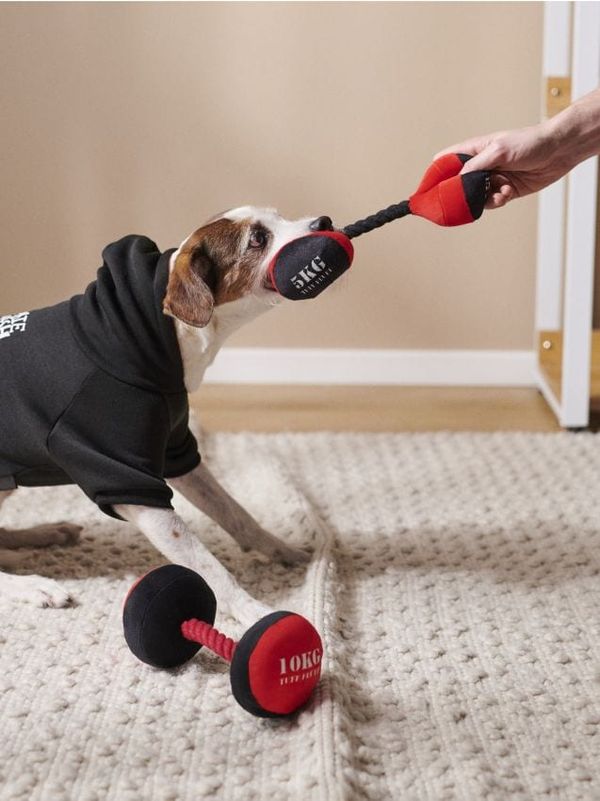 Sinsay Sinsay - Igrača za psa 2 pack - rdeča