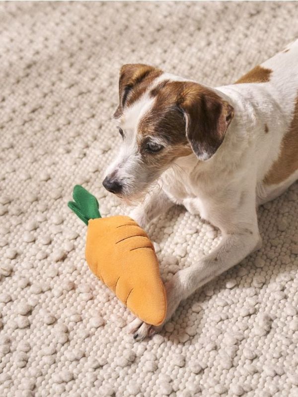 Sinsay Sinsay - Igrača za psa - oranžna