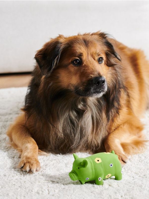 Sinsay Sinsay - Igrača za psa - rumeno zelena