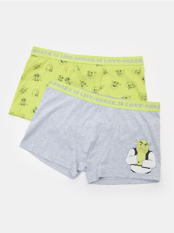 Sinsay Sinsay - Komplet 2 boksaric Shrek - večbarvna