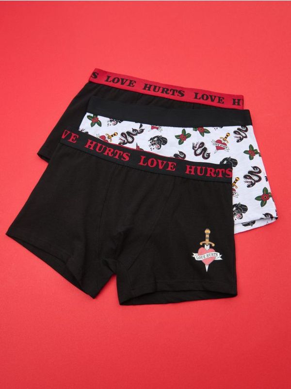 Sinsay Sinsay - Komplet 3 boksaric - večbarvna