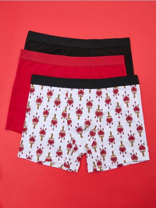 Sinsay Sinsay - Komplet 3 boksaric - večbarvna