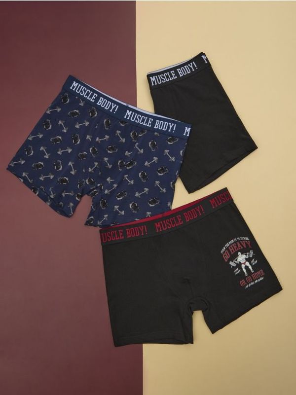 Sinsay Sinsay - Komplet 3 boksaric - večbarvna