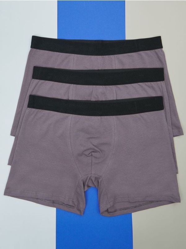 Sinsay Sinsay - Komplet 3 boksaric - večbarvna