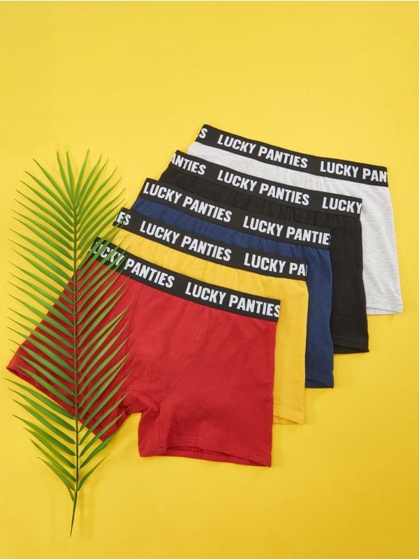 Sinsay Sinsay - Komplet 5 boksaric - večbarvna