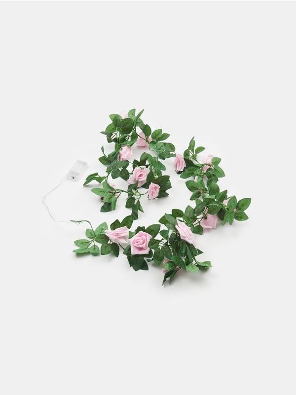 Sinsay Sinsay - Lučke - večbarvna