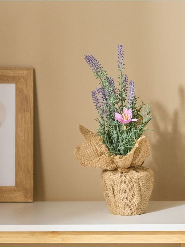 Sinsay Sinsay - Okrasna umetna roža - sivka