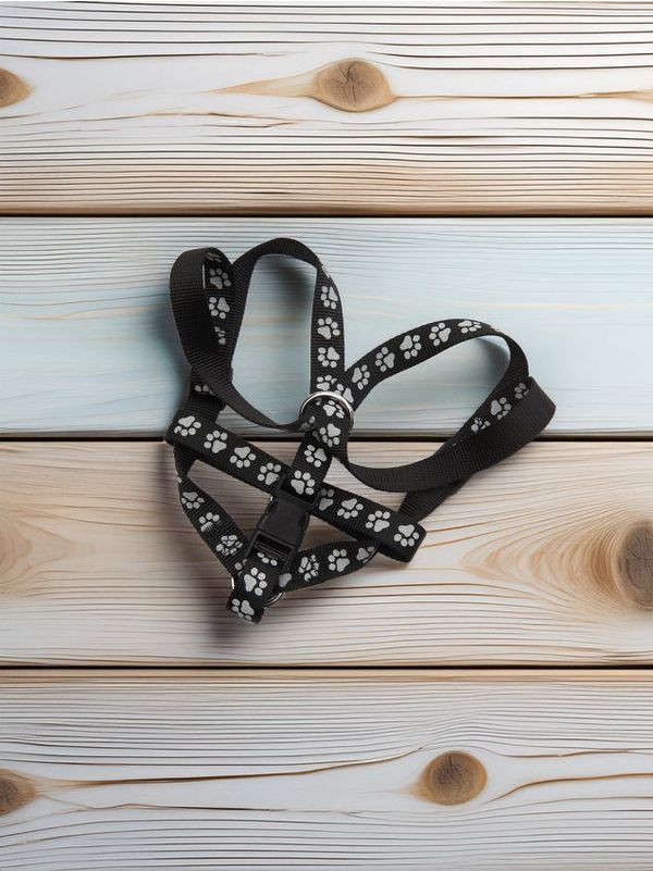 Sinsay Sinsay - Pasji oprsniki - črna