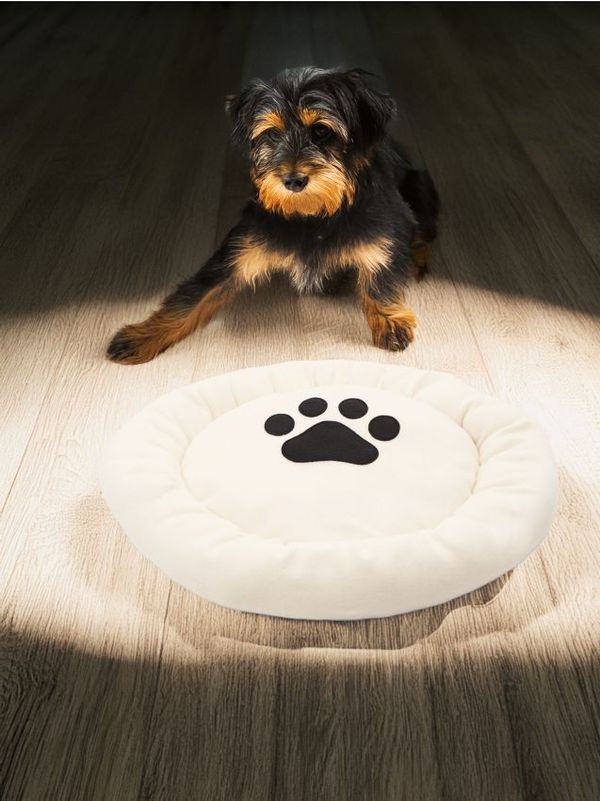 Sinsay Sinsay - Postelja za hišnega ljubljenčka - bež