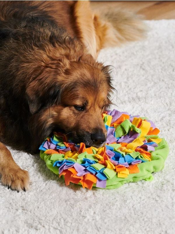 Sinsay Sinsay - Vohalna podloga - večbarvna