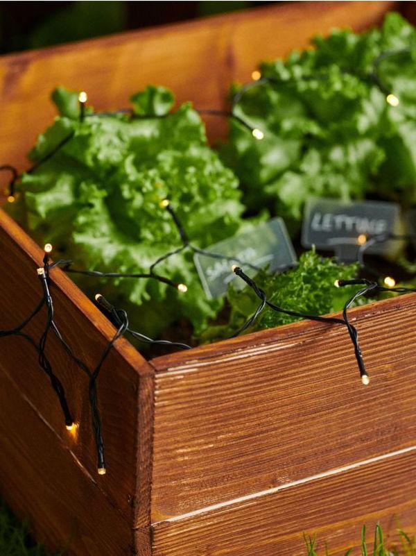 Sinsay Sinsay - Vrtni girlanda - bela