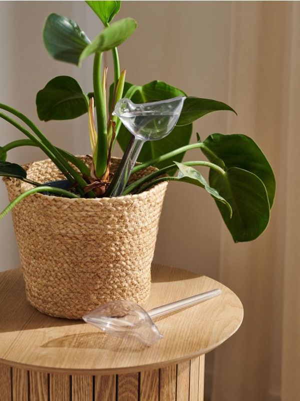 Sinsay Sinsay - Zalivalnik za rože - bela