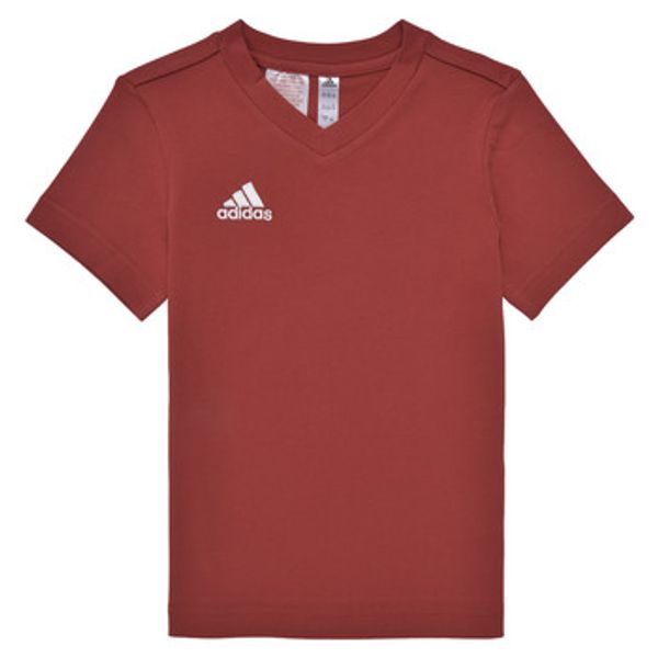 adidas adidas  Majice s kratkimi rokavi ENT22 TEE Y