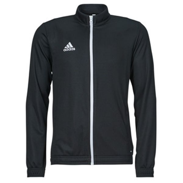 adidas adidas  Športne jope in jakne ENT22 TK JKT