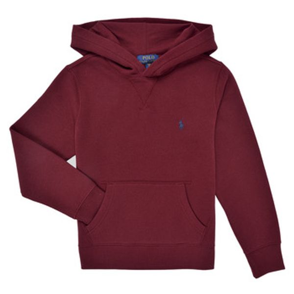 Polo Ralph Lauren Polo Ralph Lauren  Puloverji LS PO HOOD-TOPS-KNIT