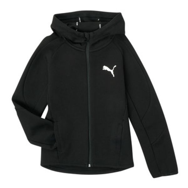 Puma Puma  Puloverji EVOSTRIPE CORE FZ HOODIE