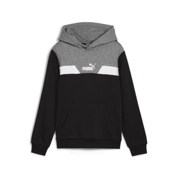 Puma Puma  Puloverji POWER COLORBLOCK HOODIE TR