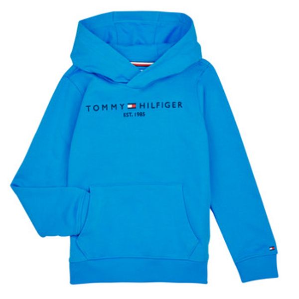 Tommy Hilfiger Tommy Hilfiger  Puloverji ESTABLISHED LOGO