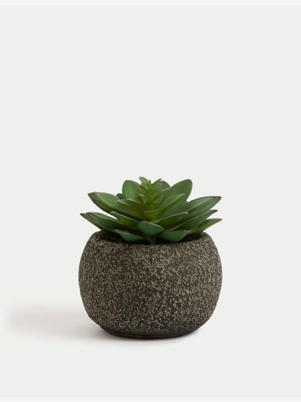 Marks & Spencer Marks & Spencer Cvetlični lonček Zelena