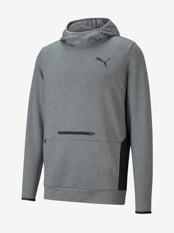 Puma Puma RTG Hoodie Pulover Siva