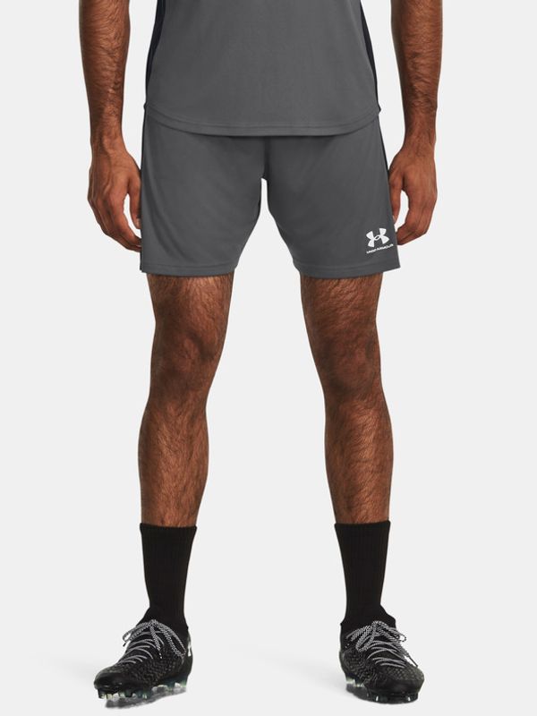 Under Armour Under Armour Kratke hlače Siva